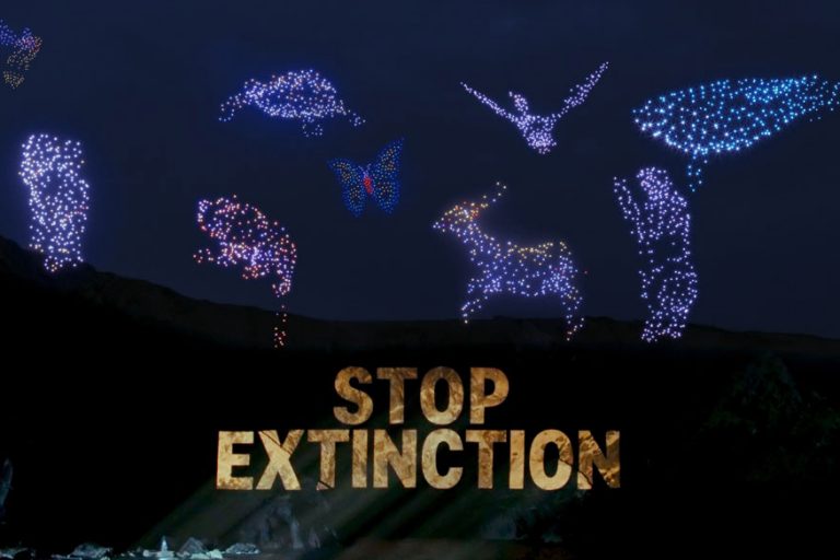 300 Drohnen: Greenpeace Film