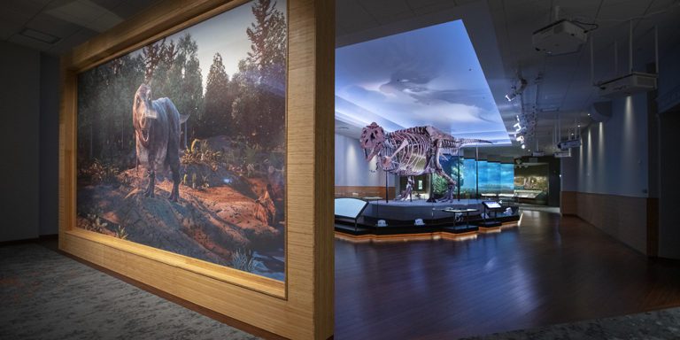 PLS ETC Sue the T-Rex