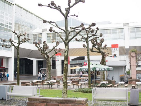 Highlights am 06.04.2016