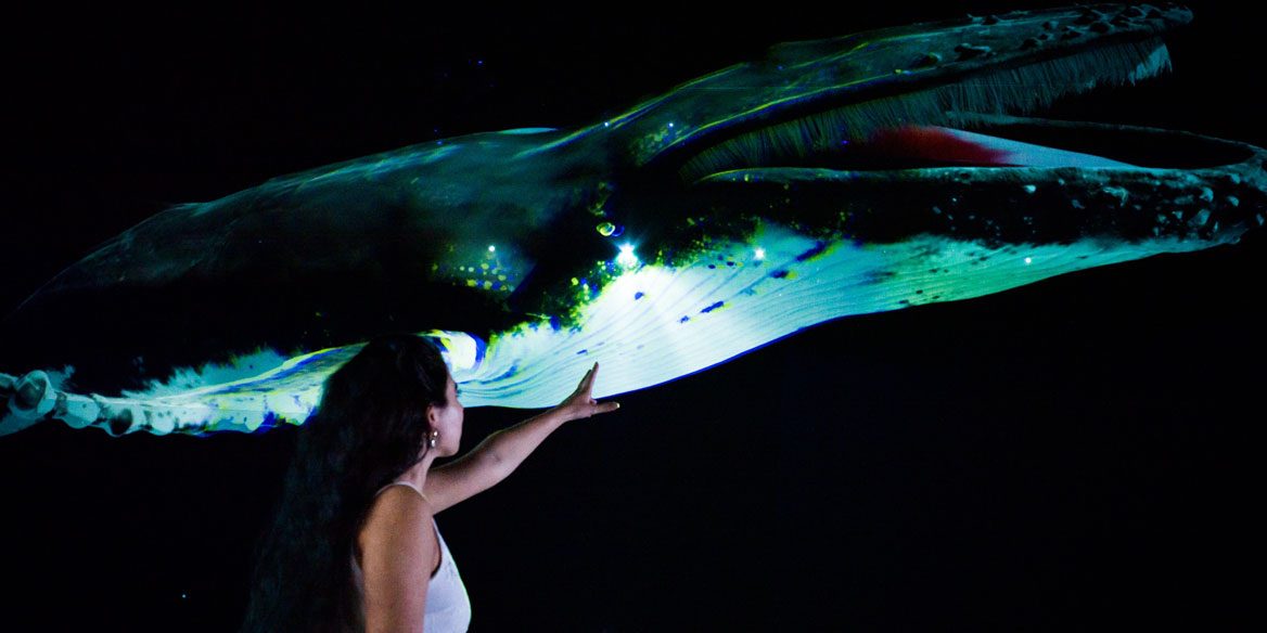 extended-reality-word Extended World Reality Zoo d'Amnéville