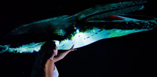 Extended World Reality Zoo d'Amnéville