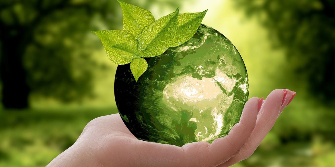 pls22-green-event Green Event Showcase Contest