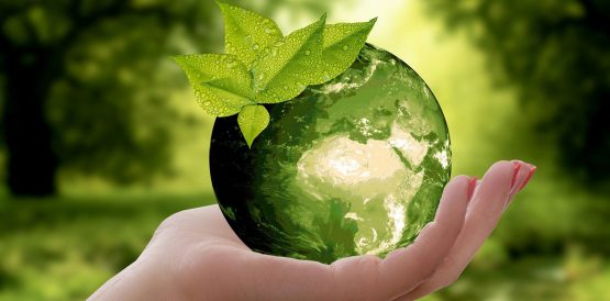 Green Event Showcase Contest